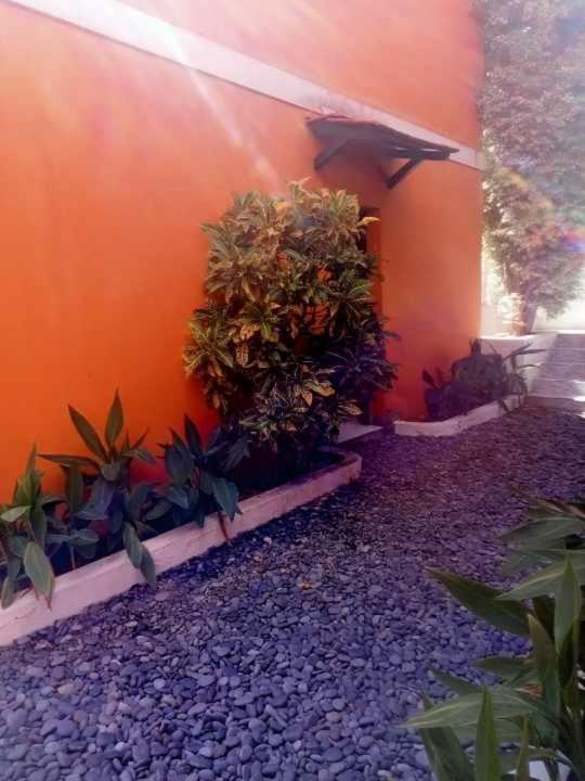 Aldeia Jerome Bed & Breakfast *