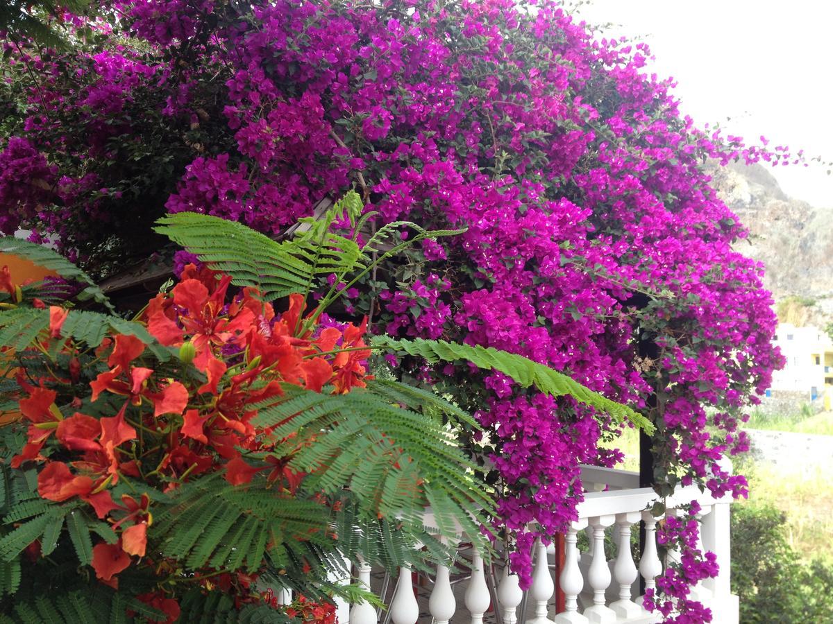 Aldeia Jerome Bed & Breakfast Paul